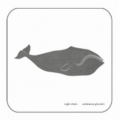 Whale Coaster - Right Whale